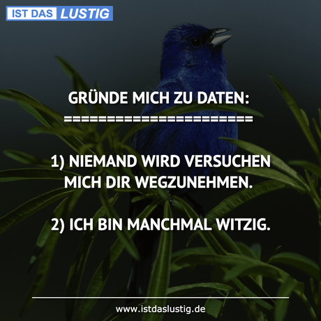 Lustiger BilderSpruch - GRÜNDE MICH ZU DATEN: ======================...