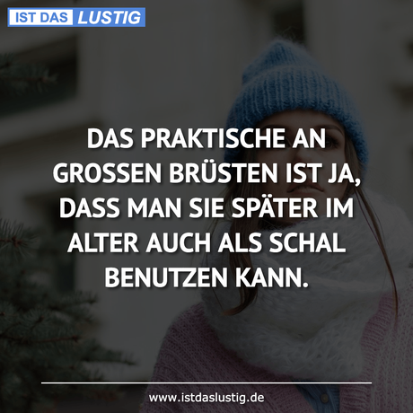 Lustiger BilderSpruch - DAS PRAKTISCHE AN GROSSEN BRÜSTEN IST JA, DASS...