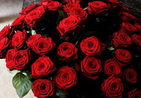 Lieder fur valentinstag