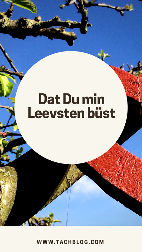 Lieder fur valentinstag