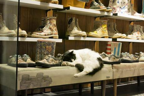 Catretail in Istanbul.