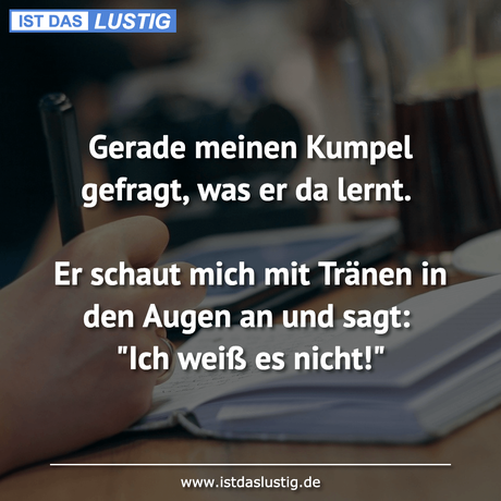 Lustiger BilderSpruch - Gerade meinen Kumpel gefragt, was er da lernt....