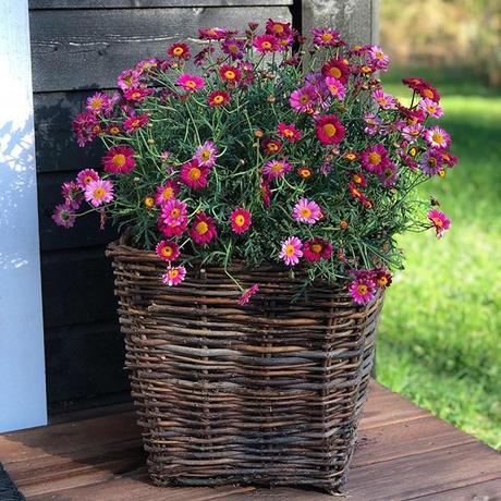 Ich wunsche ihnen weiterhin einen schonen tag