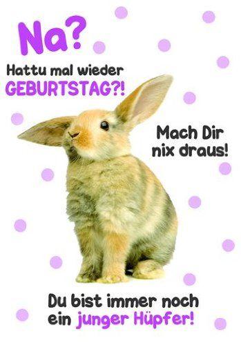 Geburtstag spruche lustig und frech