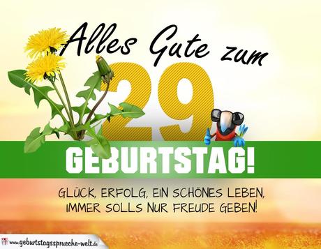 Texte zum 29 geburtstag