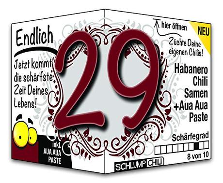 Texte zum 29 geburtstag