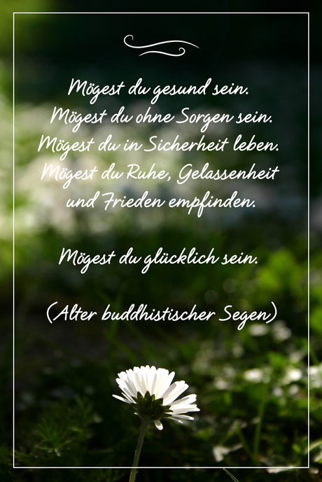 Geburtstagswunsche liebevoll