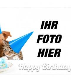 Animierte geburtstagskarten mit katzen