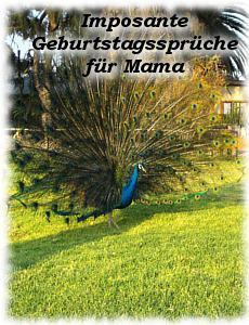 Geburtstagbpruche fur mama