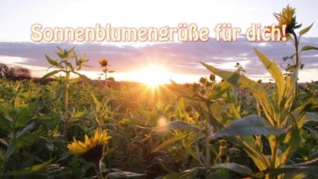 Ecard geburtstag mit eigenem foto