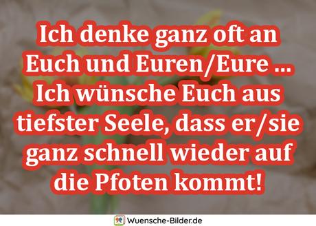 Wunsche ihnen eine gute genesung