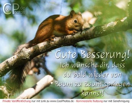 Wunsche ihnen eine gute genesung