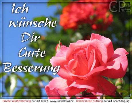 Wunsche ihnen eine gute genesung