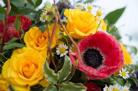 Schwarm was zu valentinstag schenken