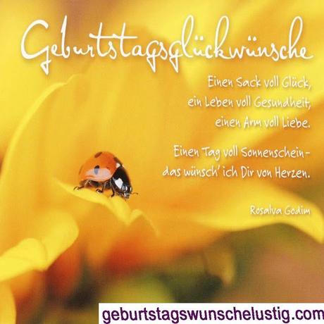 Geburtstagswunsche einer lieben kollegin