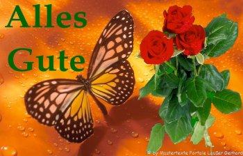 Lustige geburtstagsgrube per mail