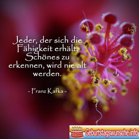 Geburtstagbpruche fur die beste freundin kurz