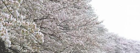 Ich wunsche einen schonen tag japanisch