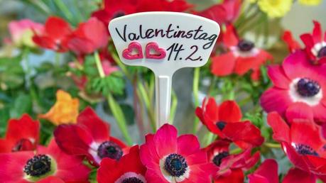 Valentinstag was kann man unternehmen