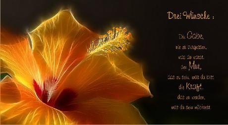 Ich wunsche dir mut und kraft
