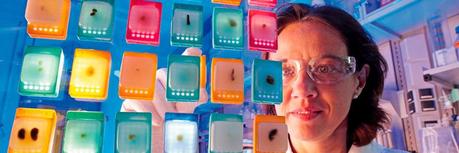 Wunsche gruppe kununu