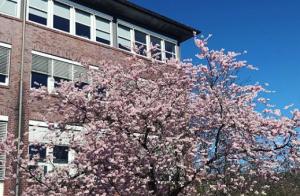 Wunsche gruppe kununu