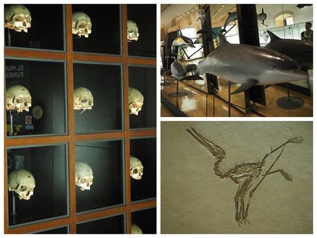 Teneriffa: Santa Cruz de Tenerife