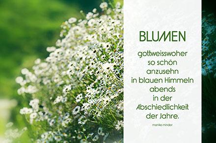 Geburtstagswunsche frau blumen