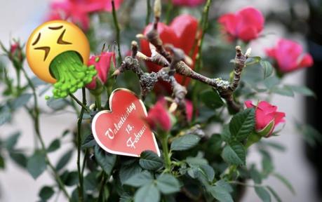 Was schreibt man in eine valentinstag