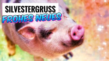 Wunsche furs neue jahr lustig kostenlos