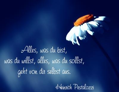 Spruche geburtstag kurz