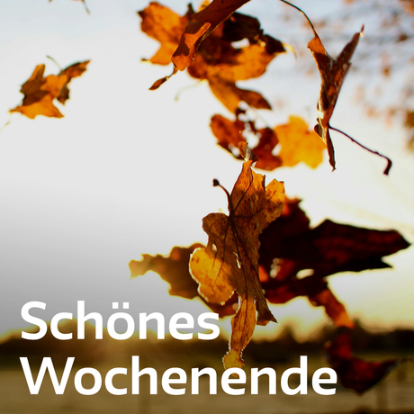 Ich wunsche euch allen eine schone zeit
