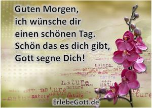 Ich wunsche dir dasselbe englisch