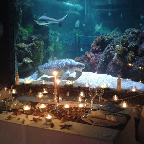 Candle light dinner munchen sea life