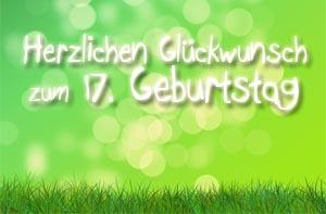 Geburtstagswunsche 17 geburtstag lustig