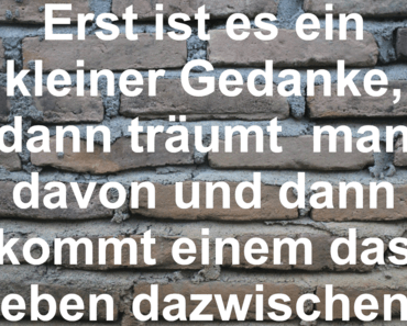 wallpaper-1689754