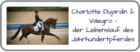 Geburtstagswunsche fur einen reiter