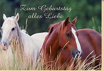 Geburtstagswunsche fur einen reiter