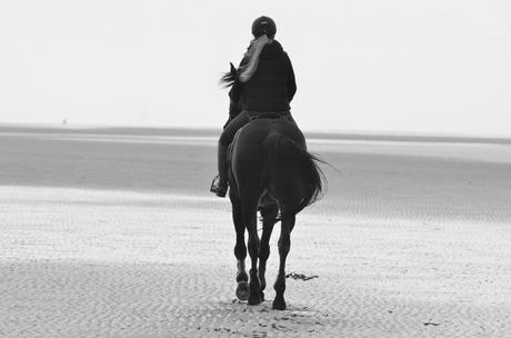 Geburtstagswunsche fur einen reiter