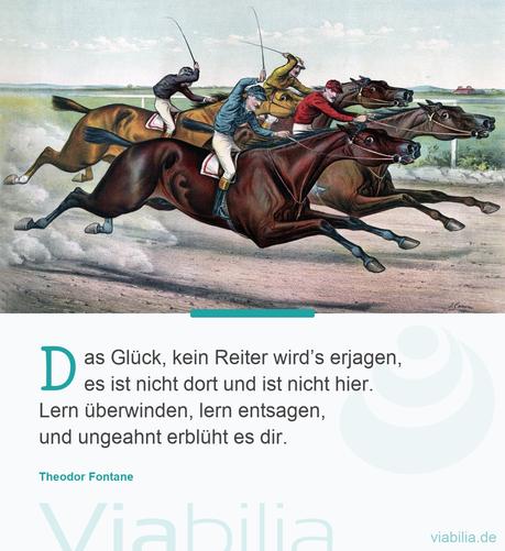 Geburtstagswunsche fur einen reiter