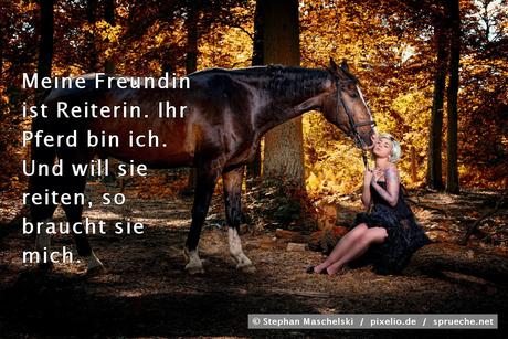 Geburtstagswunsche fur einen reiter