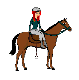 Geburtstagswunsche fur einen reiter