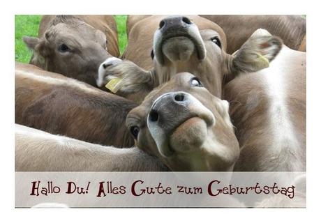 Geburtstagswunsche karte lustig