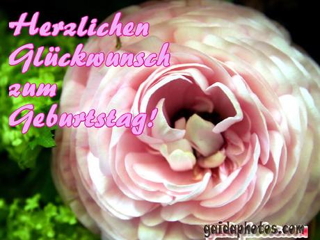 Gluckwunsche zum geburtstag ecards kostenlos