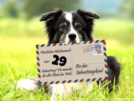 Geburtstagswunsche frau 29