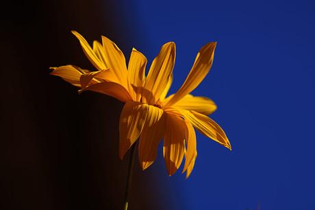 Karten lizenzfrei kostenlos