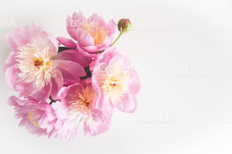 Guten morgen wunsche ich dir liedtext