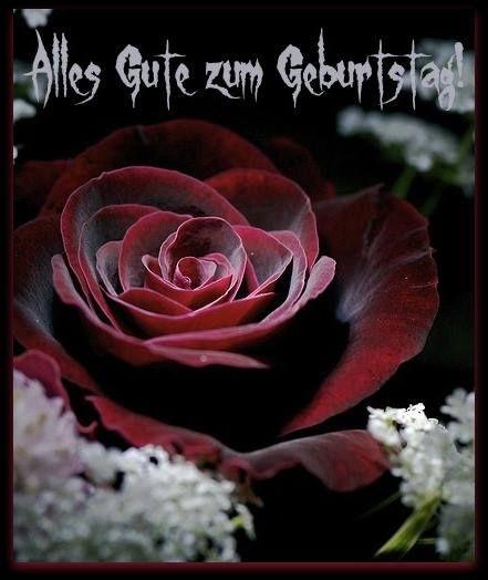 Rosen zum geburtstag text