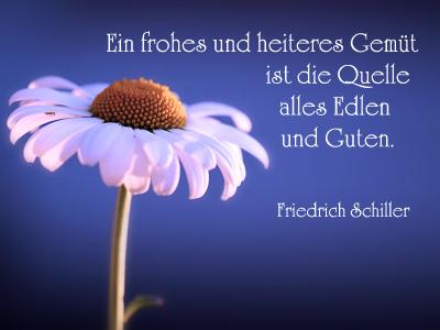 Gluckwunsche 80 geburtstag freundin