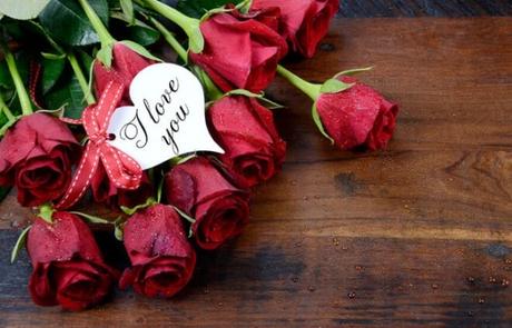 Welche blumen zum valentinstag schenken